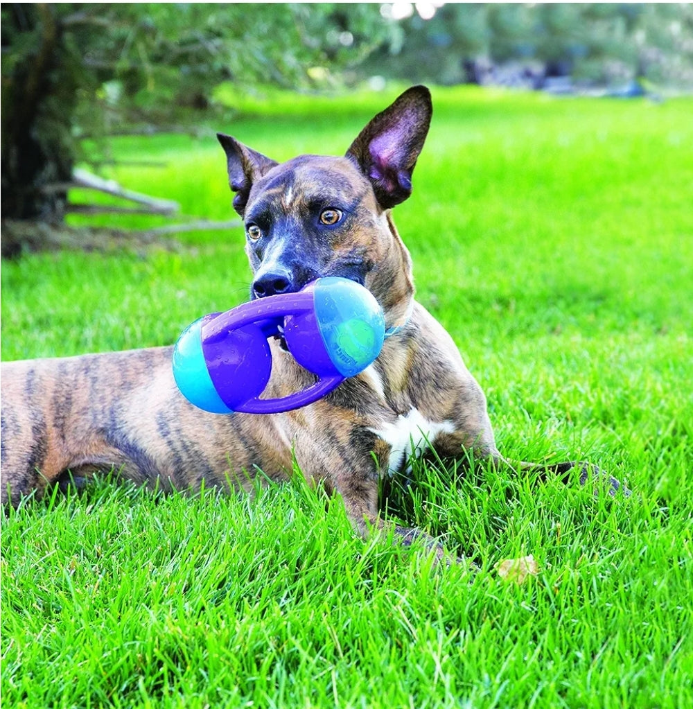 KONG Jumbler Disc Assorted| Durable Dog Toy for Active Play