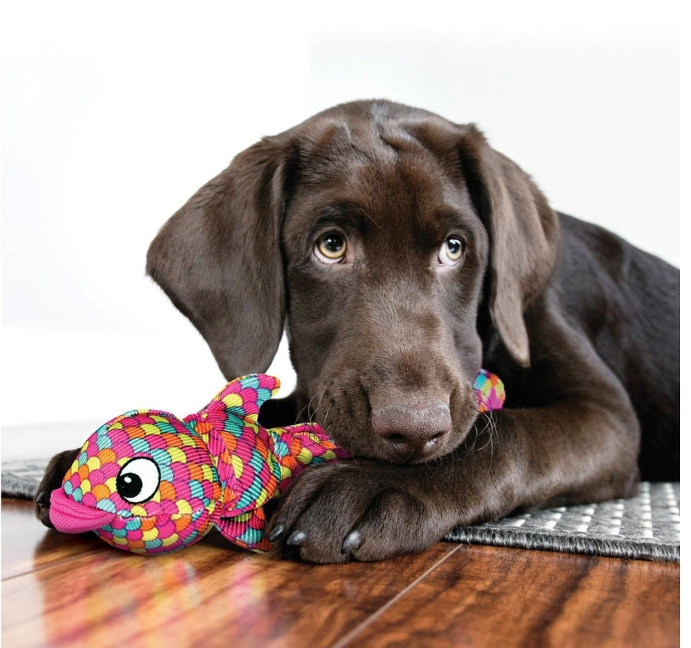 KONG Wubba Finz Dog Toy – Durable & Fun Interactive Play - Pink
