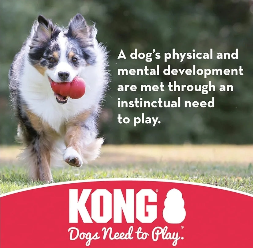 Durable KONG Extreme Ball – Tough Rubber Toy for Medium/Large Dogs (4-inch)
