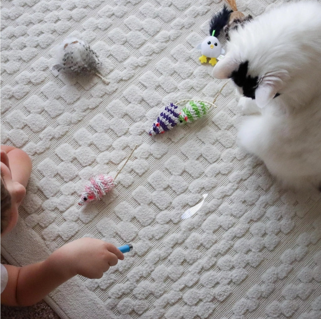 Bergan Turbo LED Pointer | Interactive Fish Light Toy for Cats