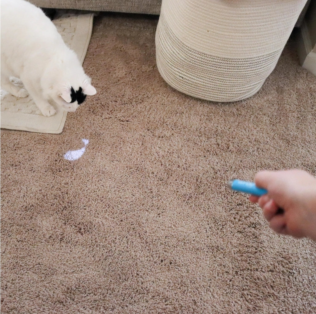 Bergan Turbo LED Pointer | Interactive Fish Light Toy for Cats