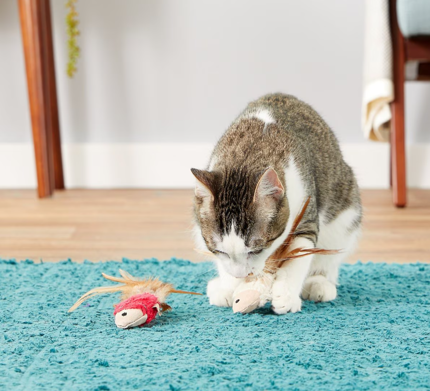 KONG Naturals Crinkle Fish 2-Pack: Engaging & Durable Cat Toy Essentials