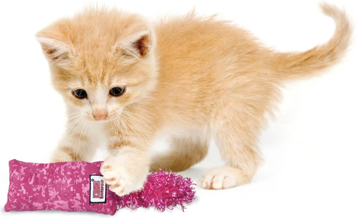 KONG Kickeroo Kitten Toy - Soft, Durable, and Catnip-Filled