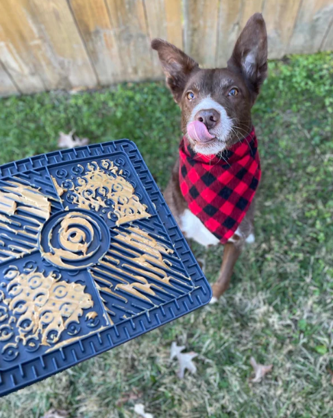 SPUNKY Pump Square Lick Pad for Dogs & Cats