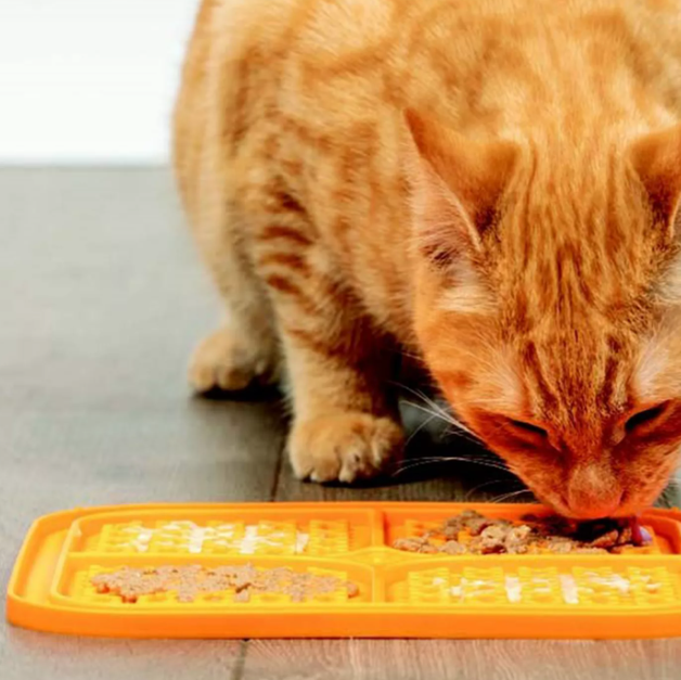 Boredom Busters Orange Slow Feeder Bowl – Anti-Gulping Dog Feeder