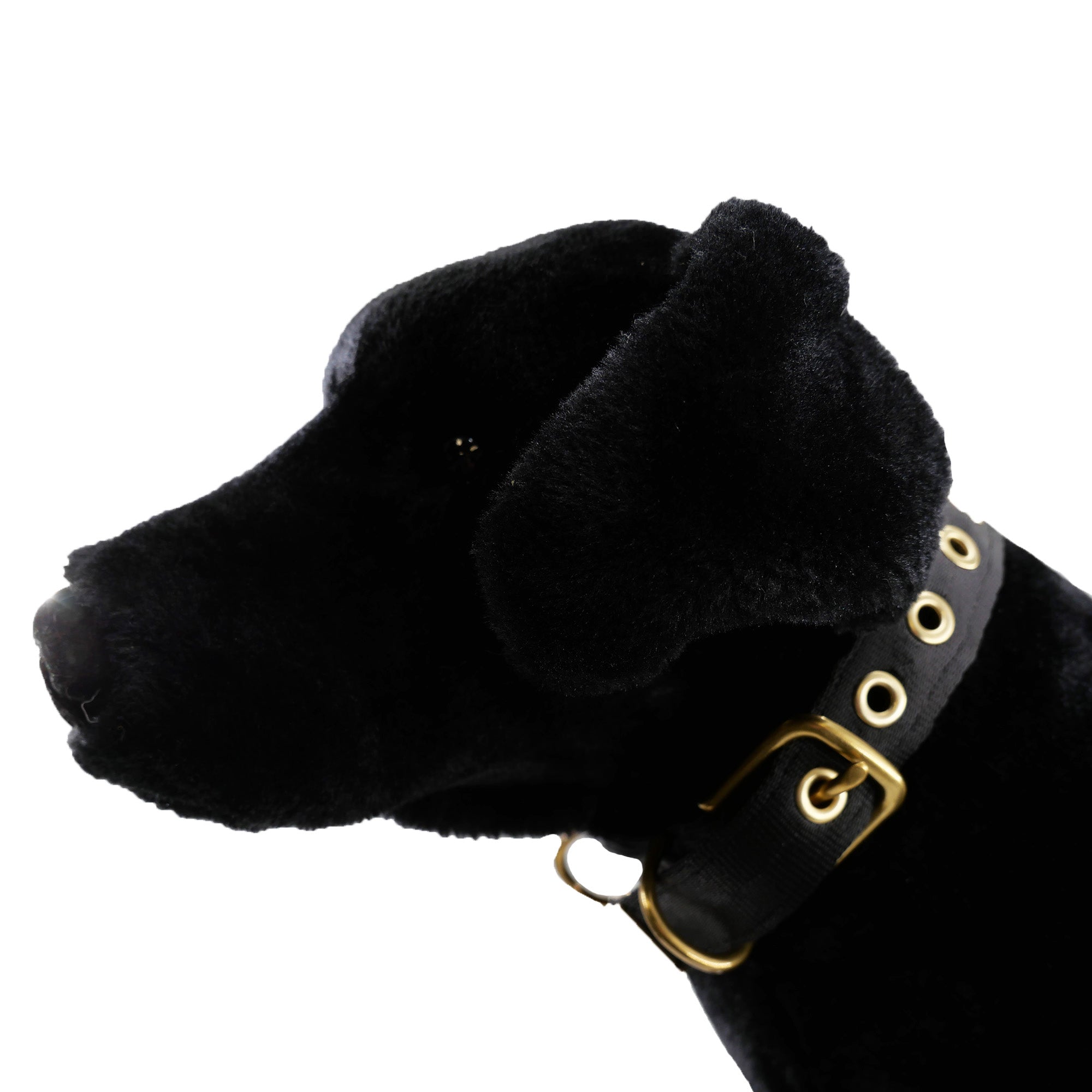 Heavy-Duty Seatbelt Dog Collar – USA Made with Brass Hardware