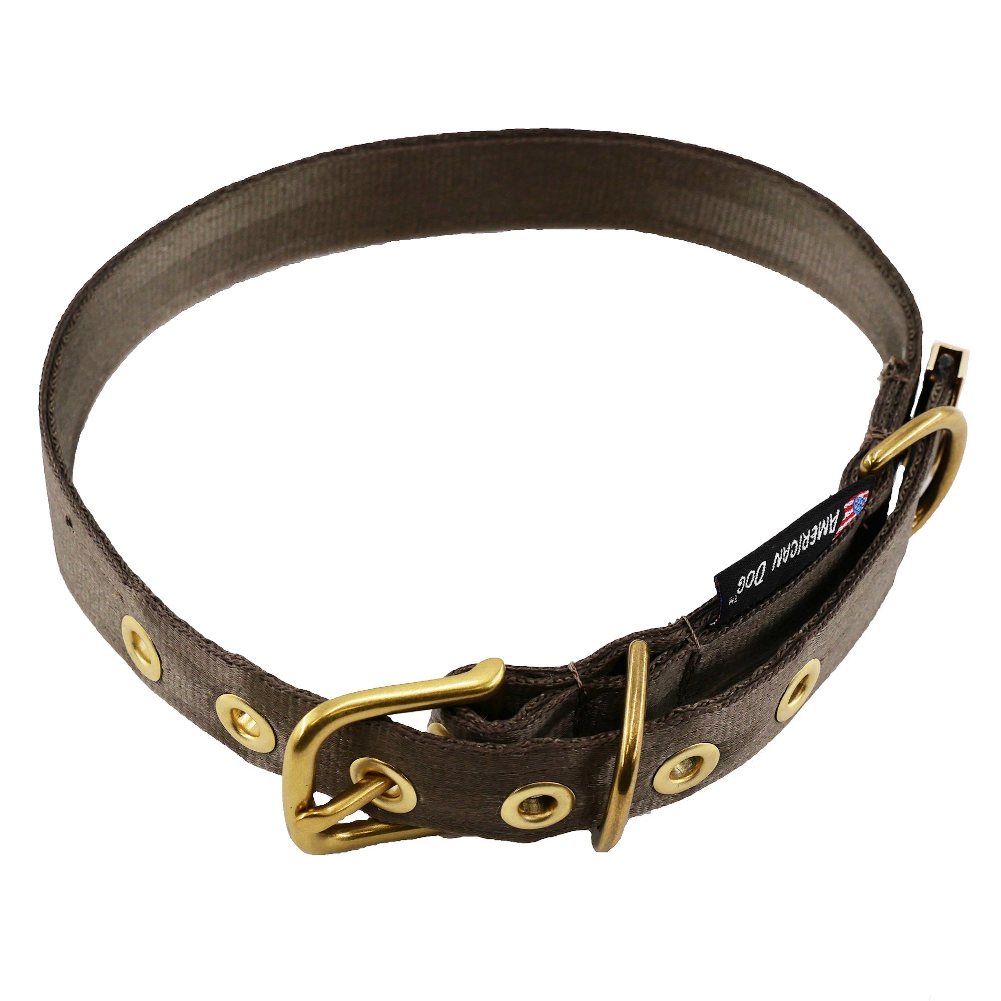 Heavy-Duty Seatbelt Dog Collar – USA Made with Brass Hardware