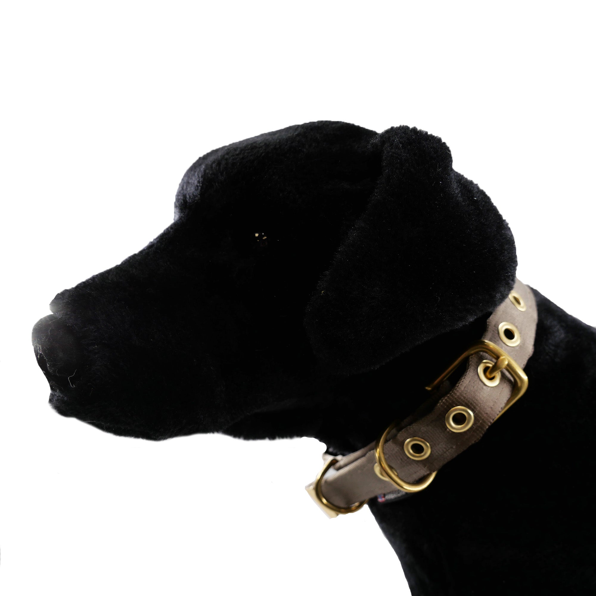Heavy-Duty Seatbelt Dog Collar – USA Made with Brass Hardware