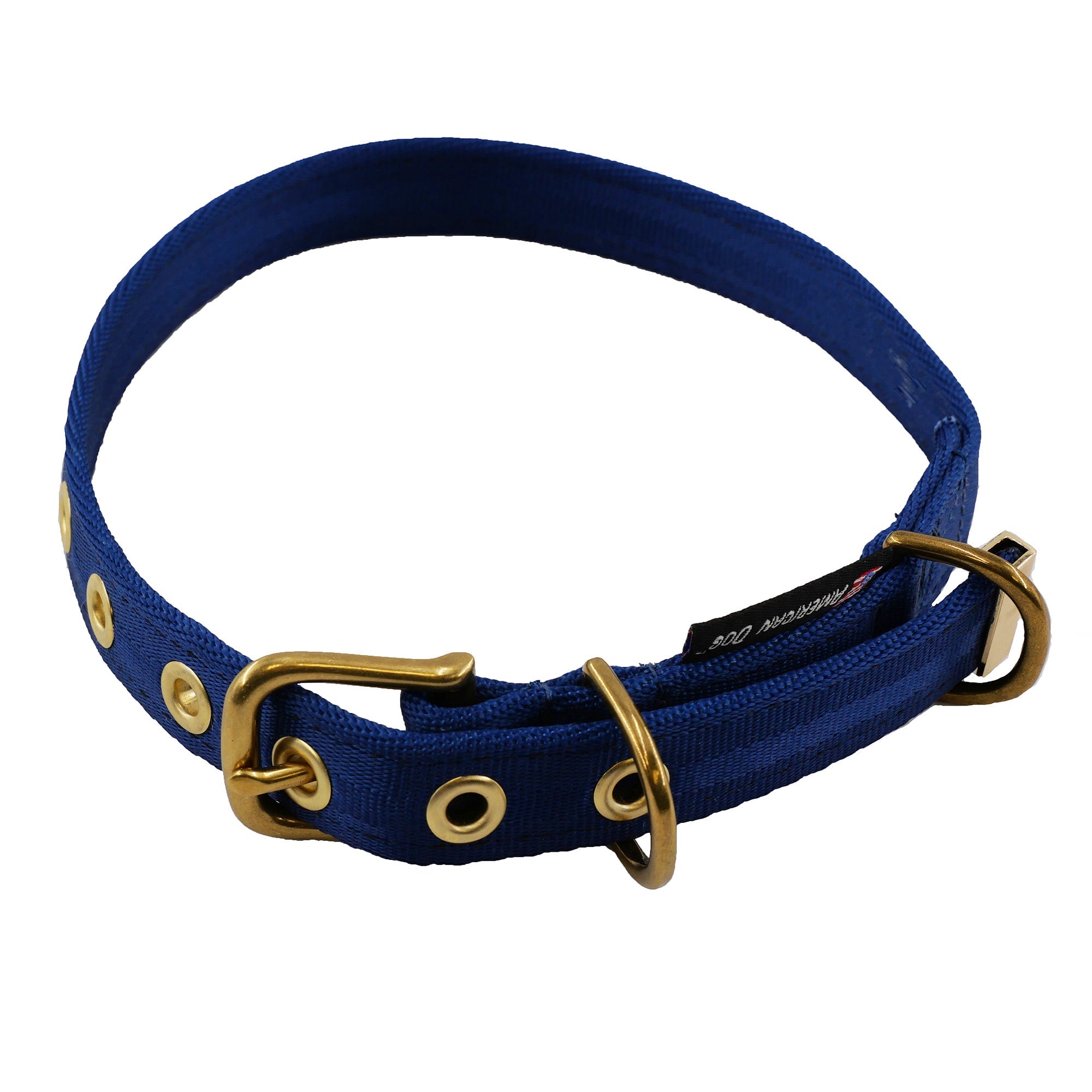 Heavy-Duty Seatbelt Dog Collar – USA Made with Brass Hardware