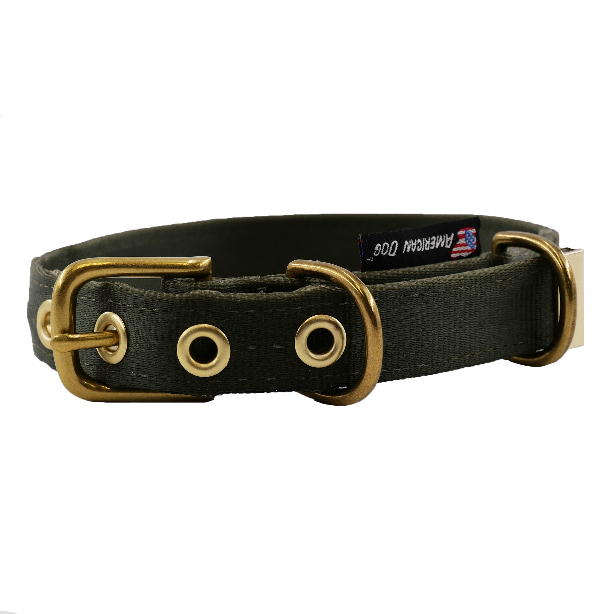 Heavy-Duty Seatbelt Dog Collar – USA Made with Brass Hardware