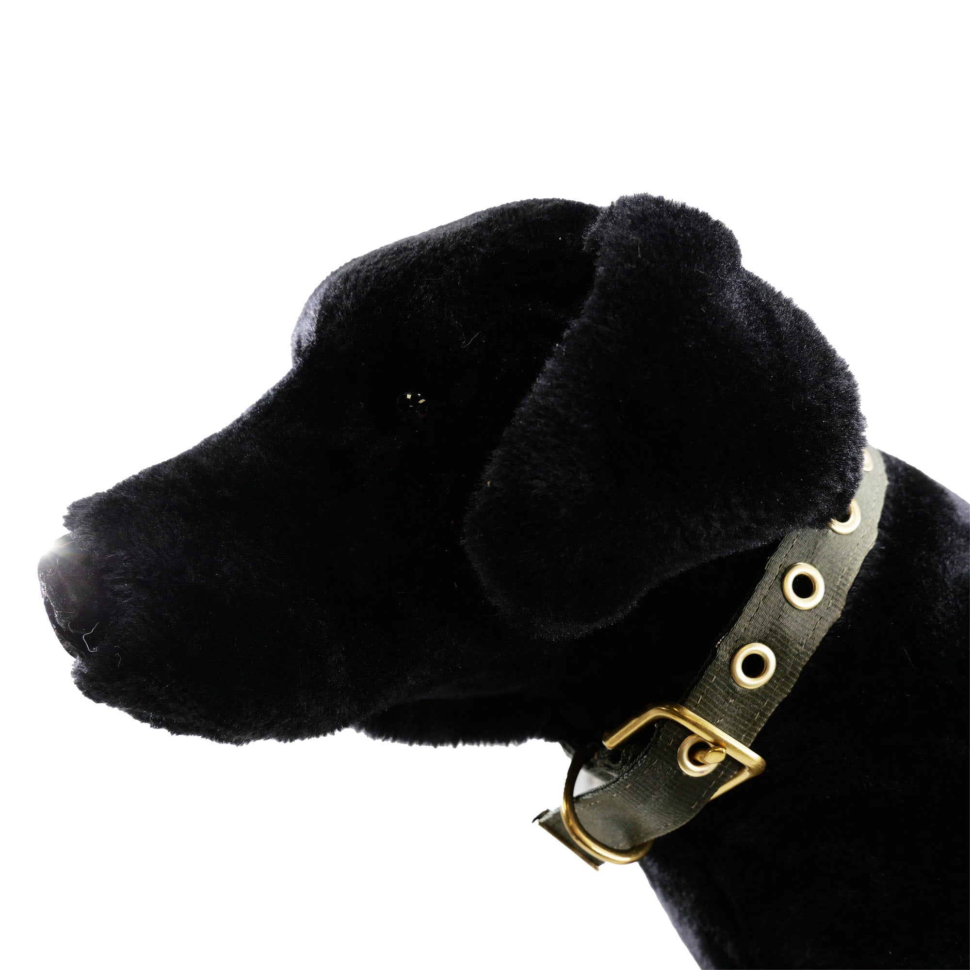 Heavy-Duty Seatbelt Dog Collar – USA Made with Brass Hardware