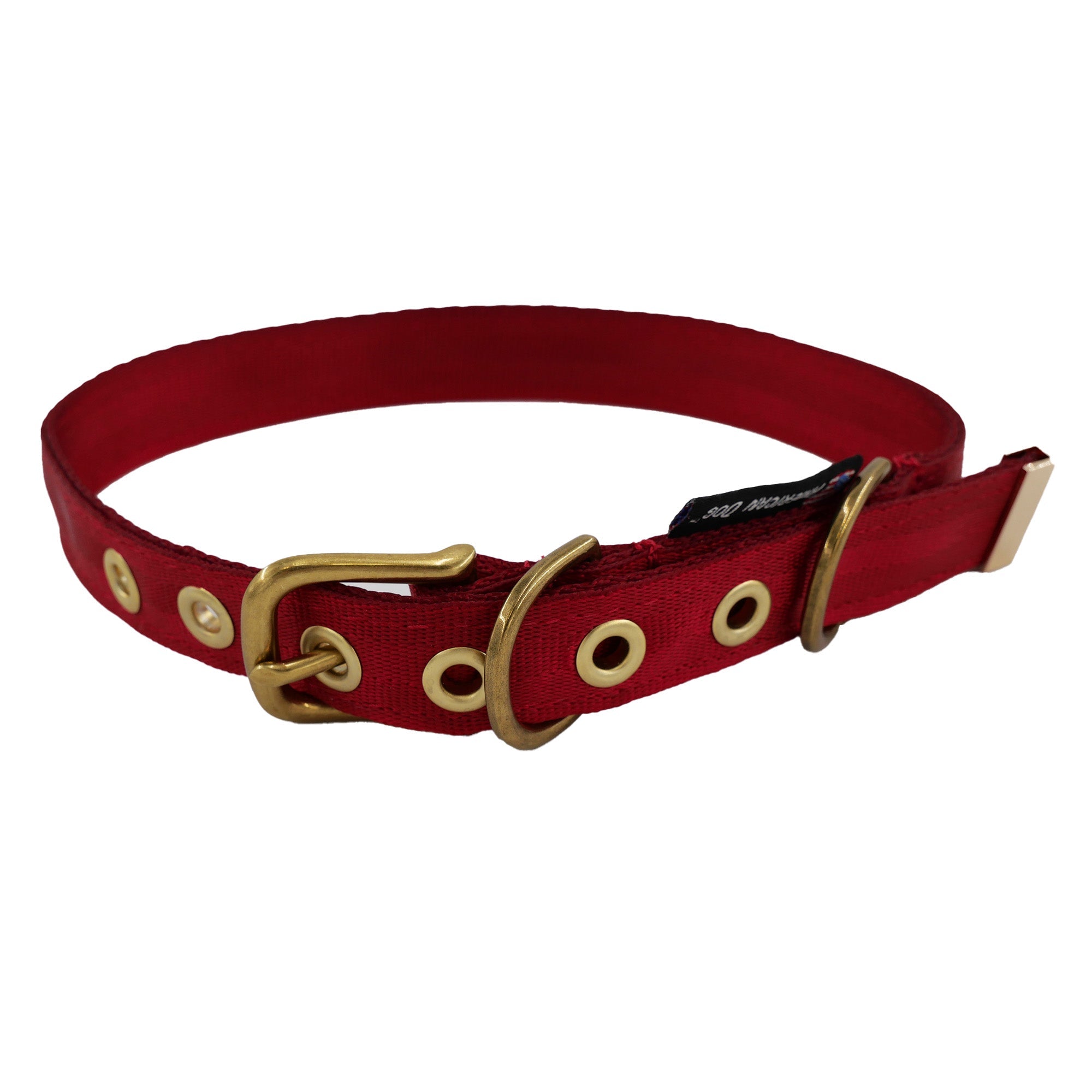 Heavy-Duty Seatbelt Dog Collar – USA Made with Brass Hardware