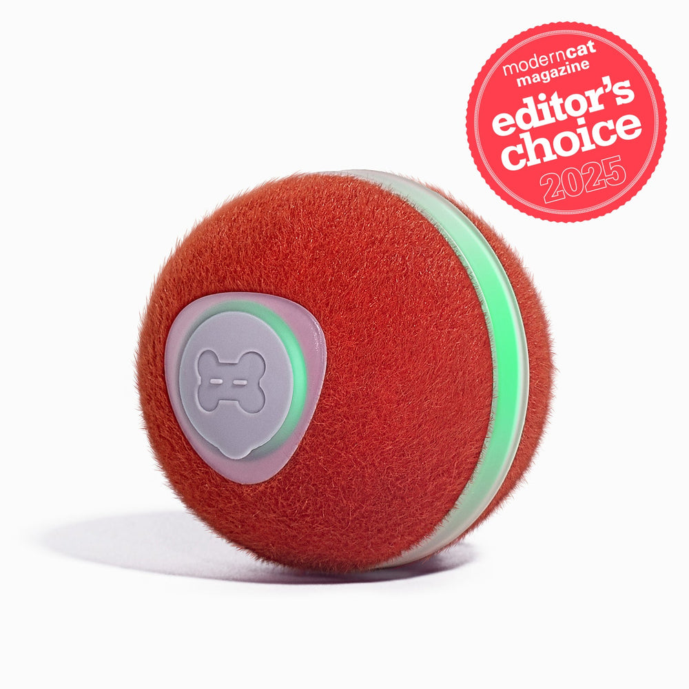 Wicked Ball M3 – Smart Interactive Cat Toy 🐾🧶 (Carpet-Friendly Upgrade!)