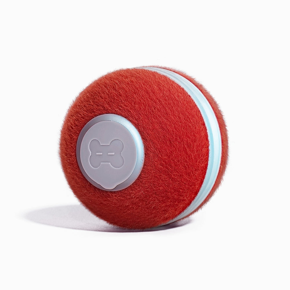 Cheerble Smart Cat Ball – Interactive Self-Rolling Toy with LED Lights