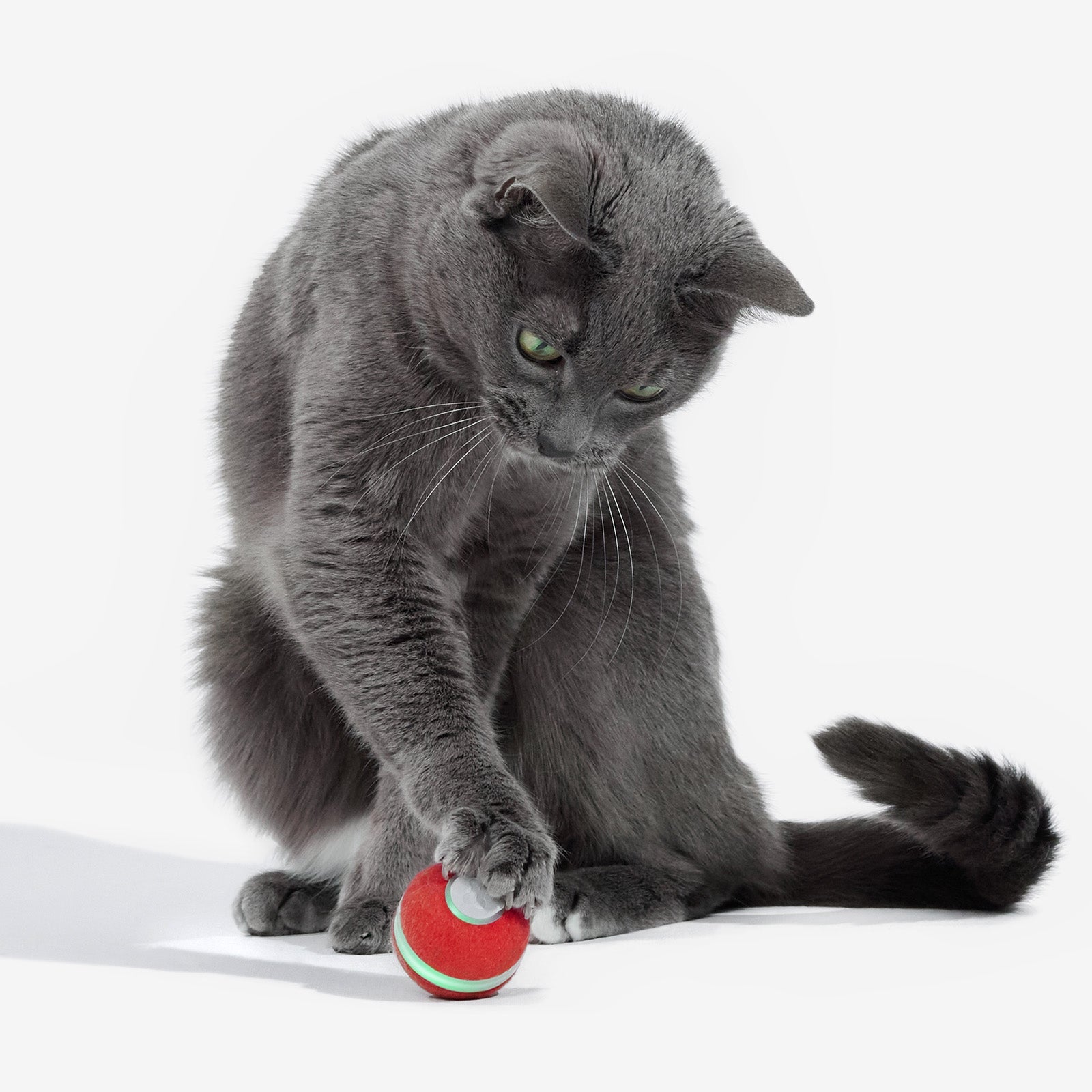 Cheerble Smart Cat Ball – Interactive Self-Rolling Toy with LED Lights