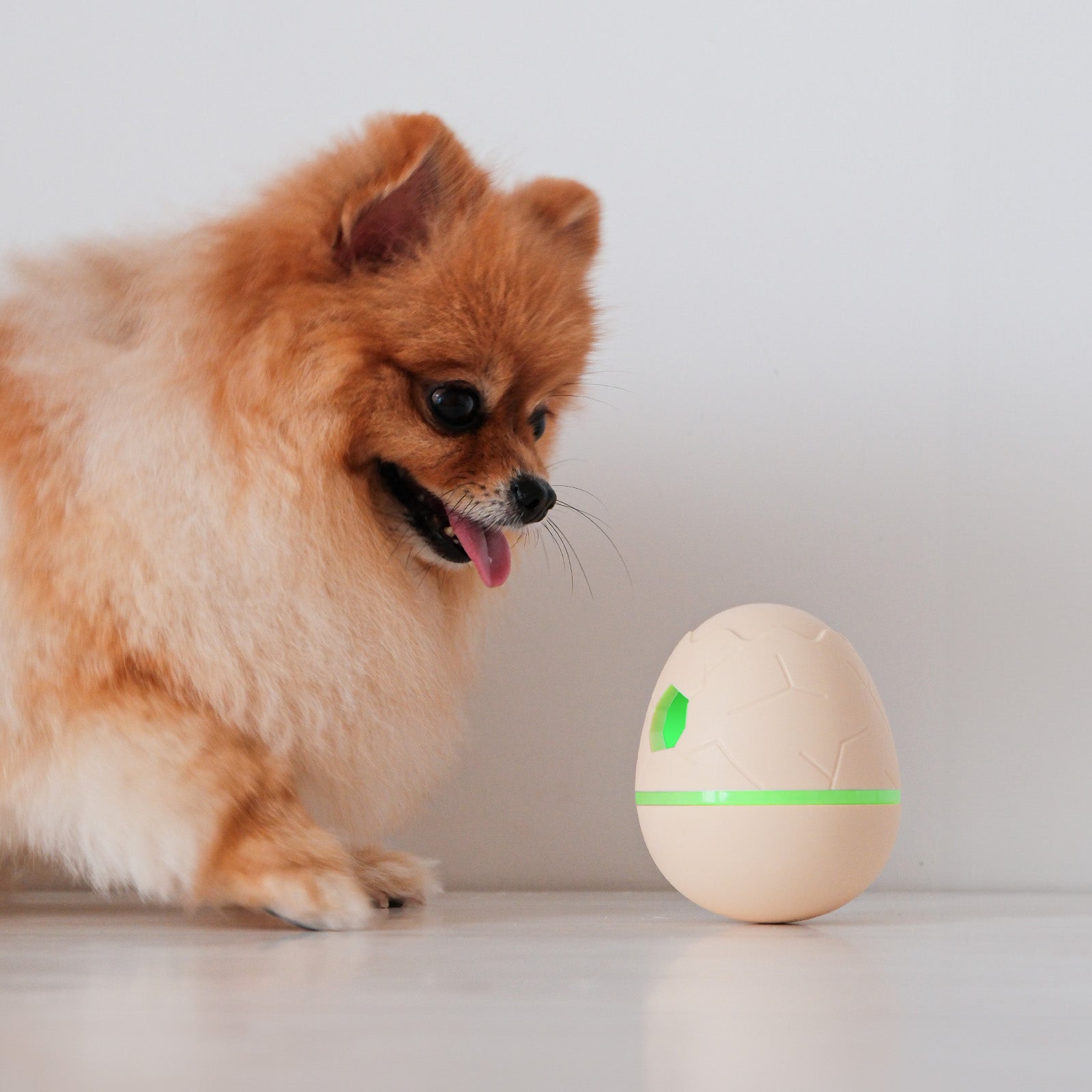 Creeble® Wicked Egg – Interactive Smart Treat Dispenser Toy for Dogs