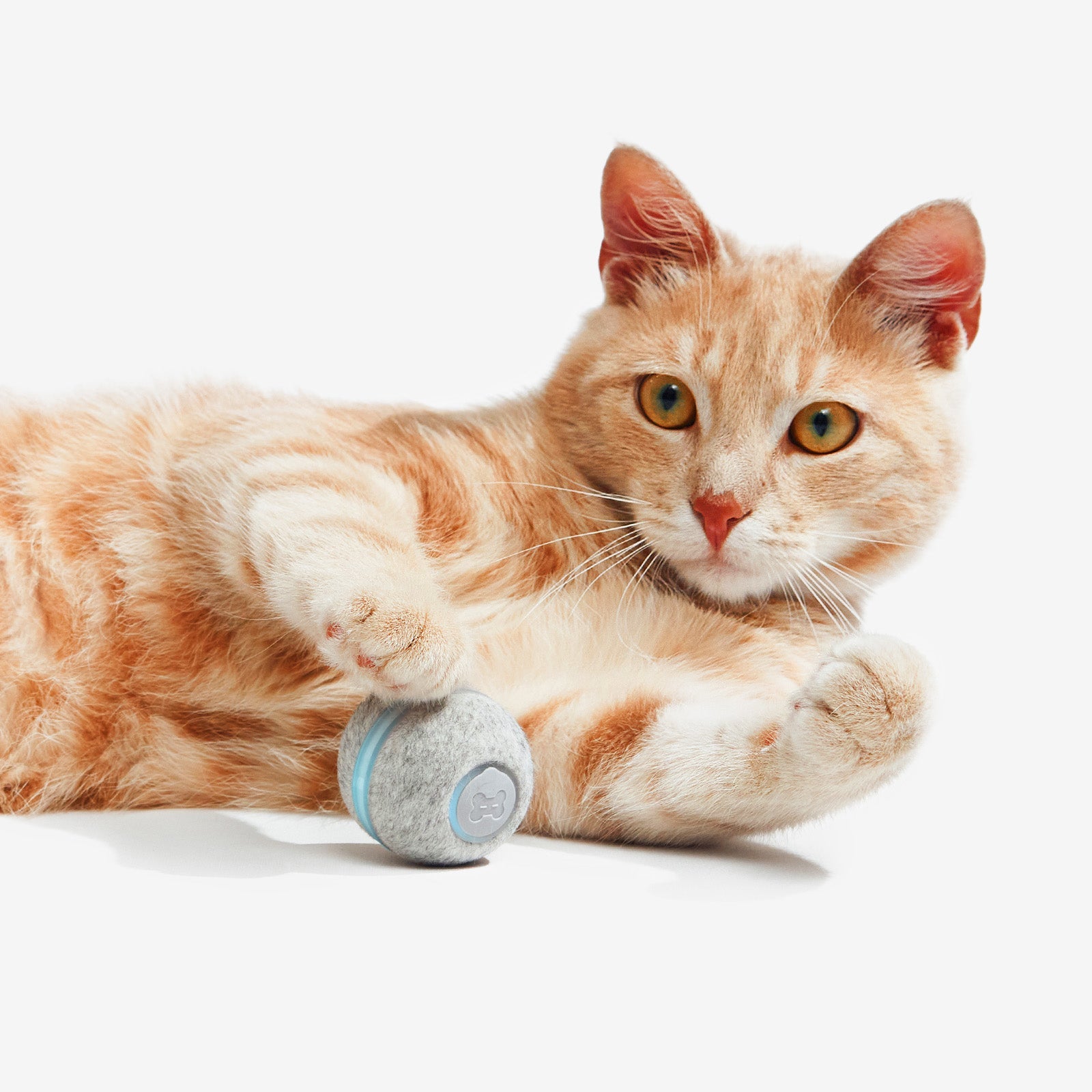 Cheerble Smart Cat Ball – Interactive Self-Rolling Toy with LED Lights