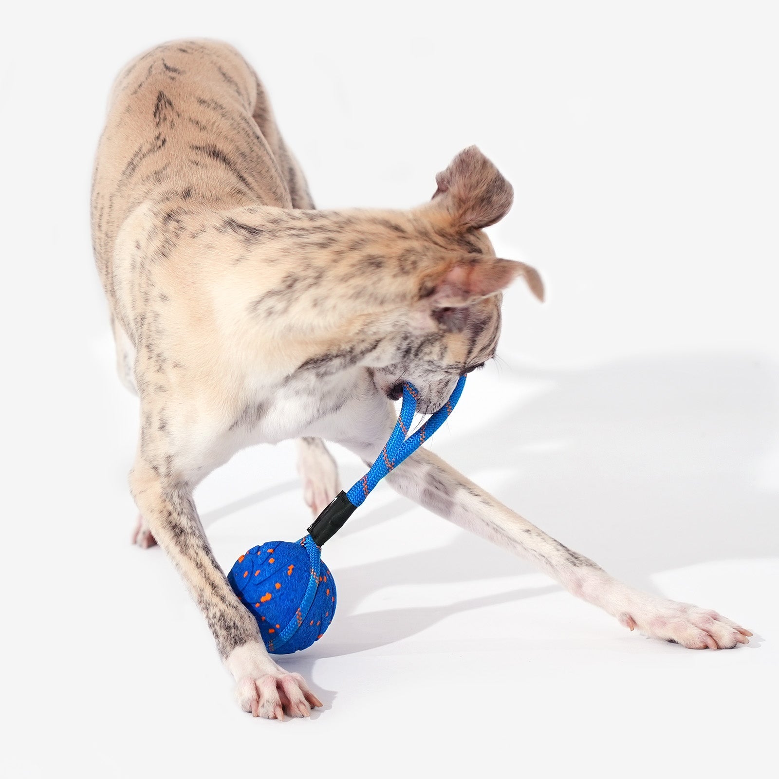 Creeble® Wicked Interactive Dog Toy – Smart Motion Enrichment Toy