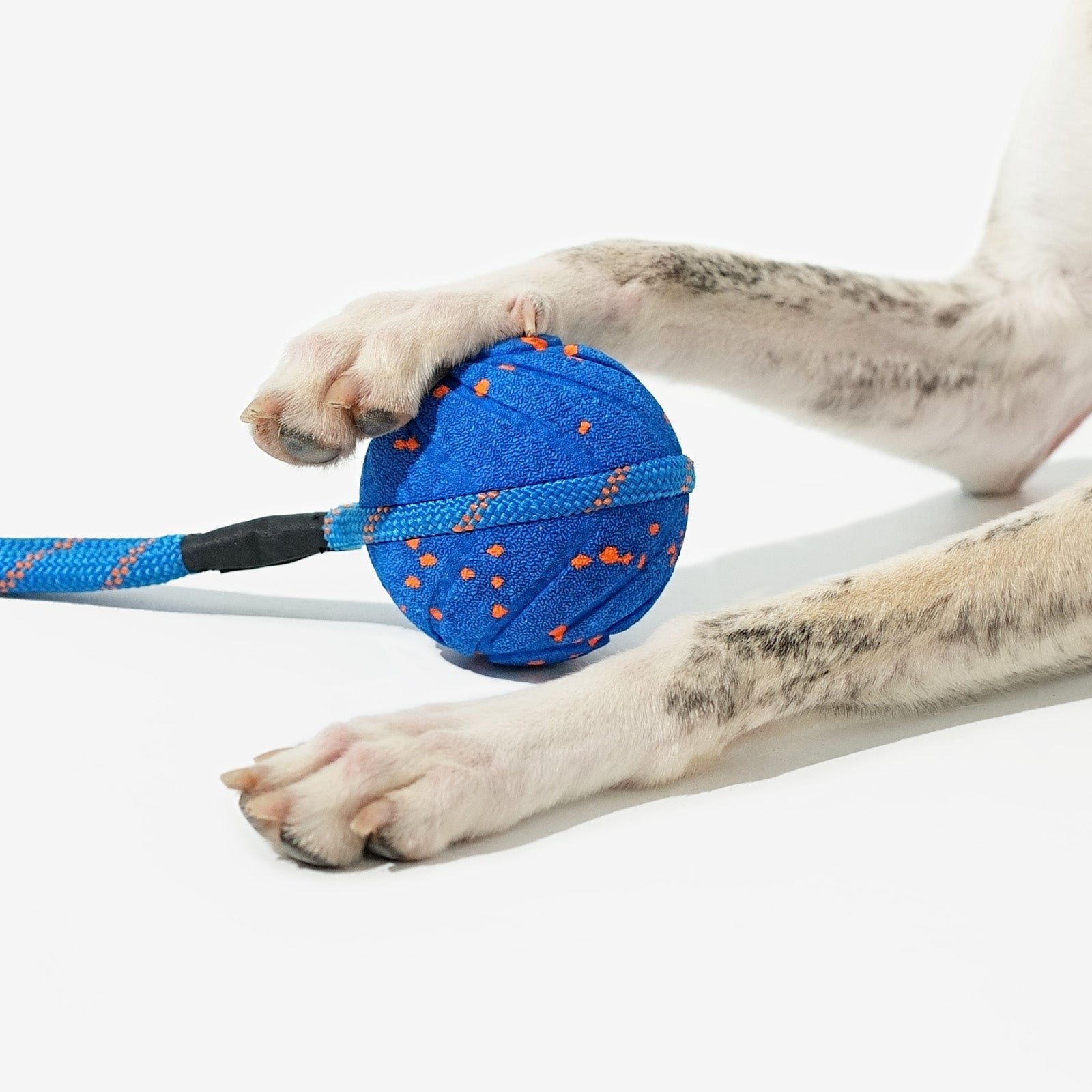 Creeble® Wicked Interactive Dog Toy – Smart Motion Enrichment Toy