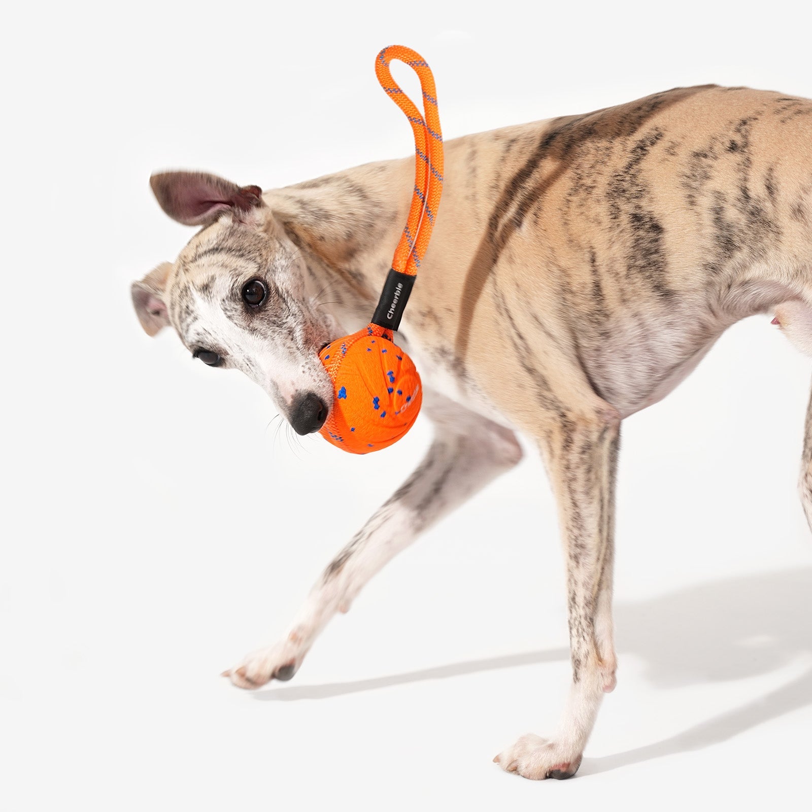 Creeble® Wicked Interactive Dog Toy – Smart Motion Enrichment Toy
