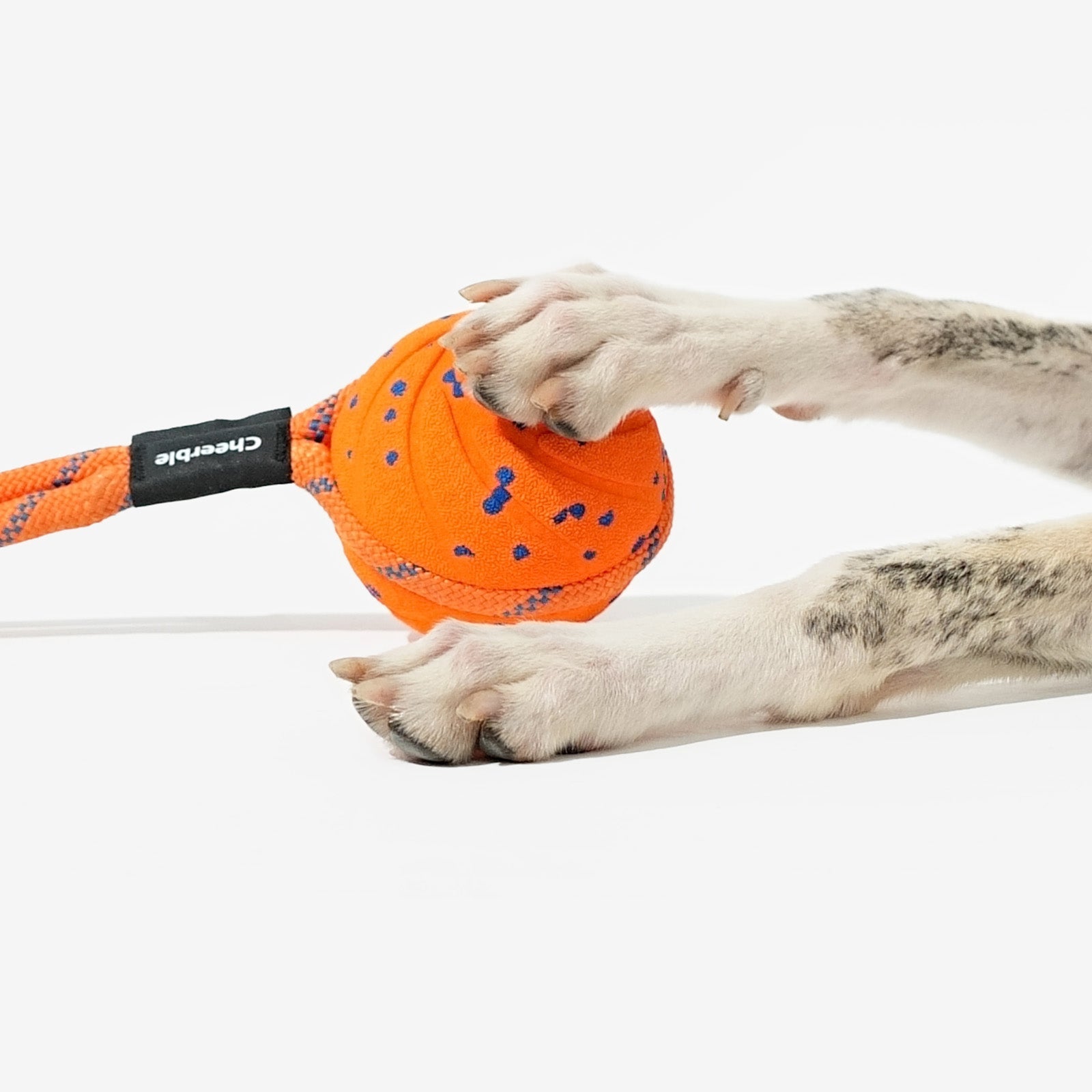 Creeble® Wicked Interactive Dog Toy – Smart Motion Enrichment Toy