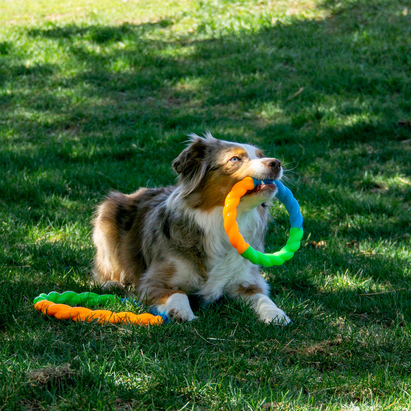 KONG Twistz High-Viz Ring – Durable Glow-in-the-Dark Dog Fetch Toy That Floats