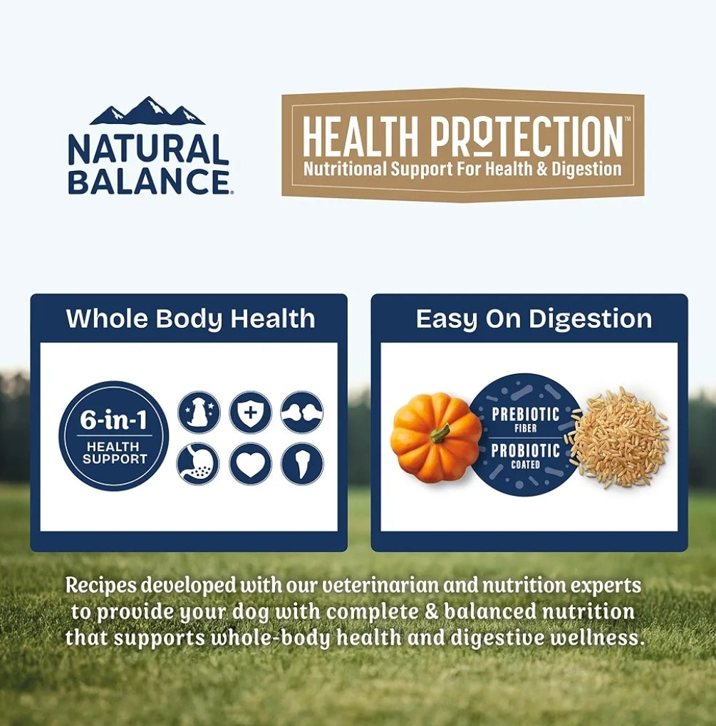 Natural Balance Health Protection Dry Dog Food, Lamb, Brown Rice & Pumpkin, 24 lb Bag