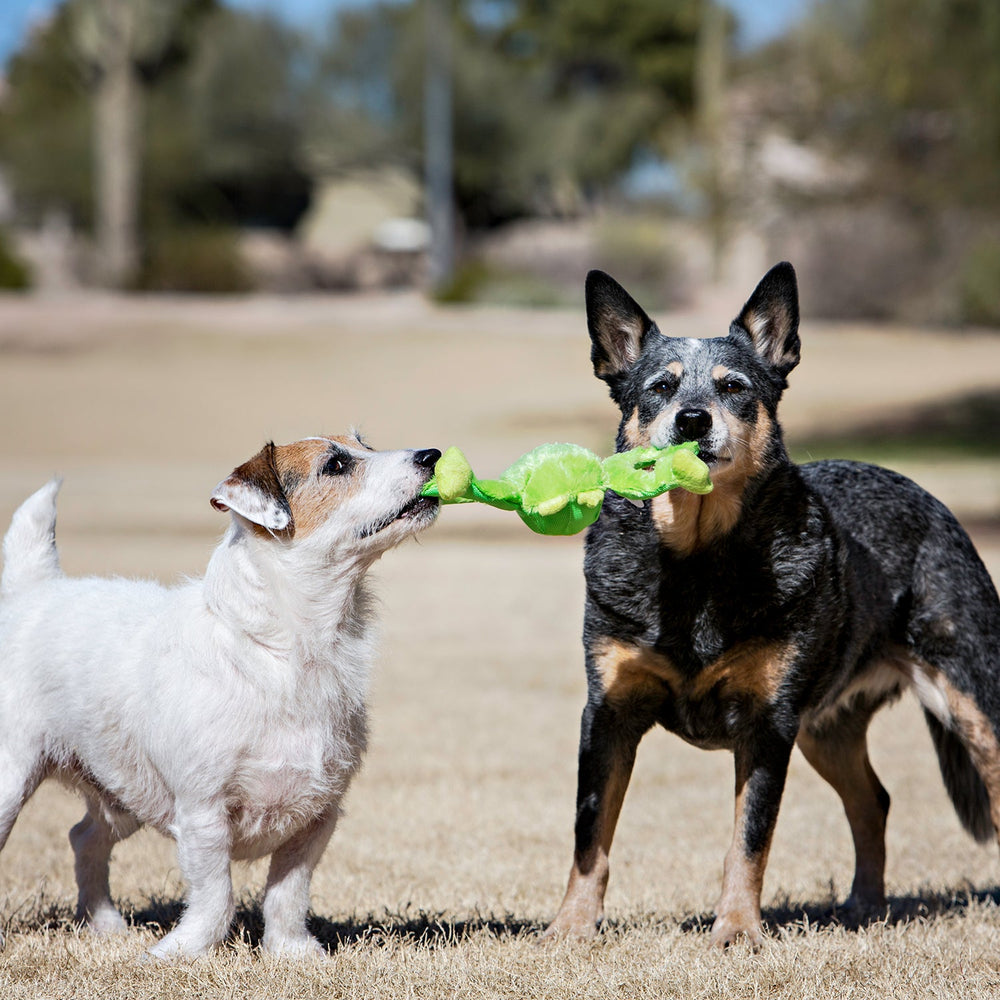 Tug-a-Mals™ Animal Dog Toy with Rope Handles & Squeaker