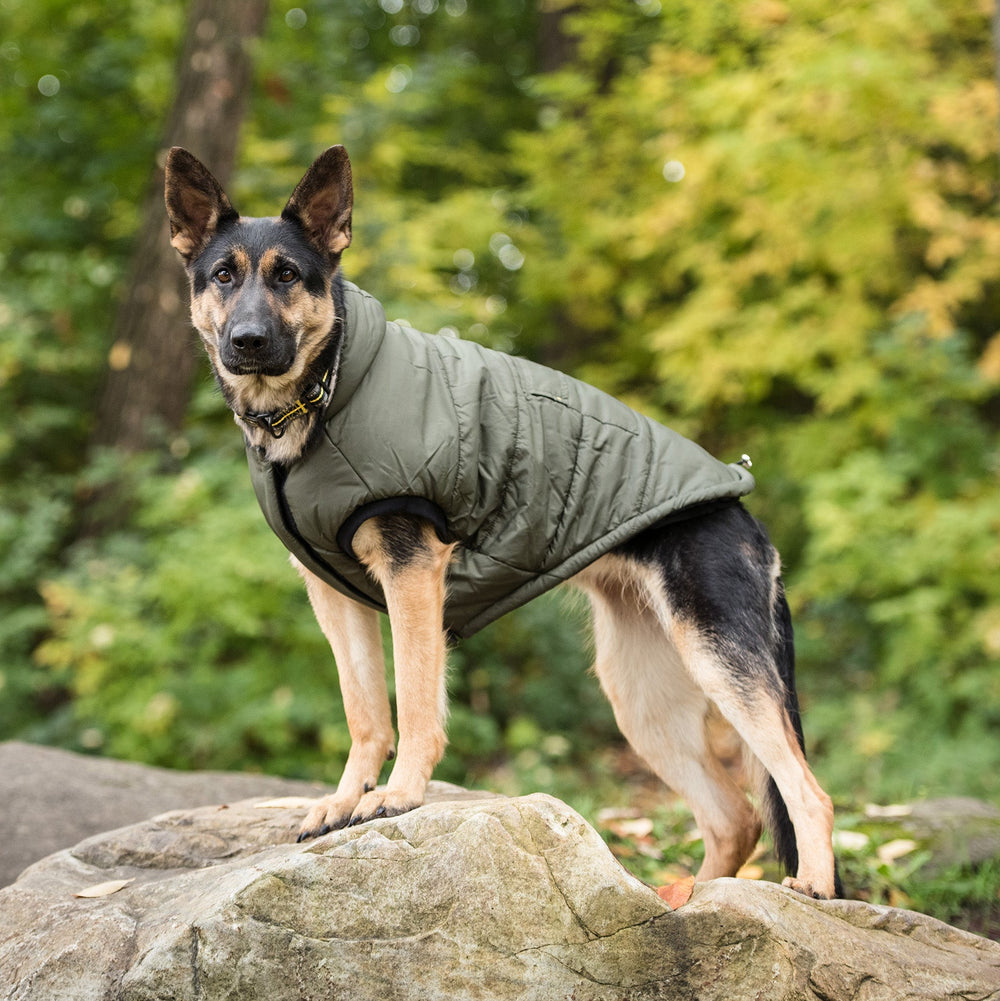 US Army® Dog Parka – Official Licensed Military Dog Coat in Dark Camo with Fleece Lining & Hood