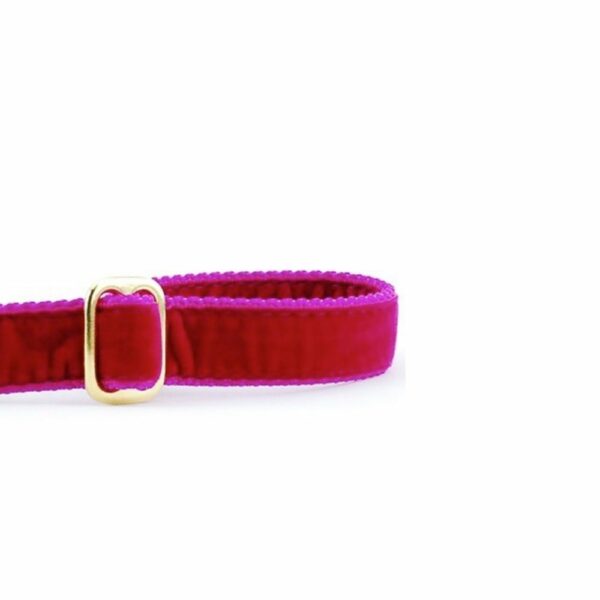 Raspberry Velvet Dog Leash – Luxuriously Soft & USA Made