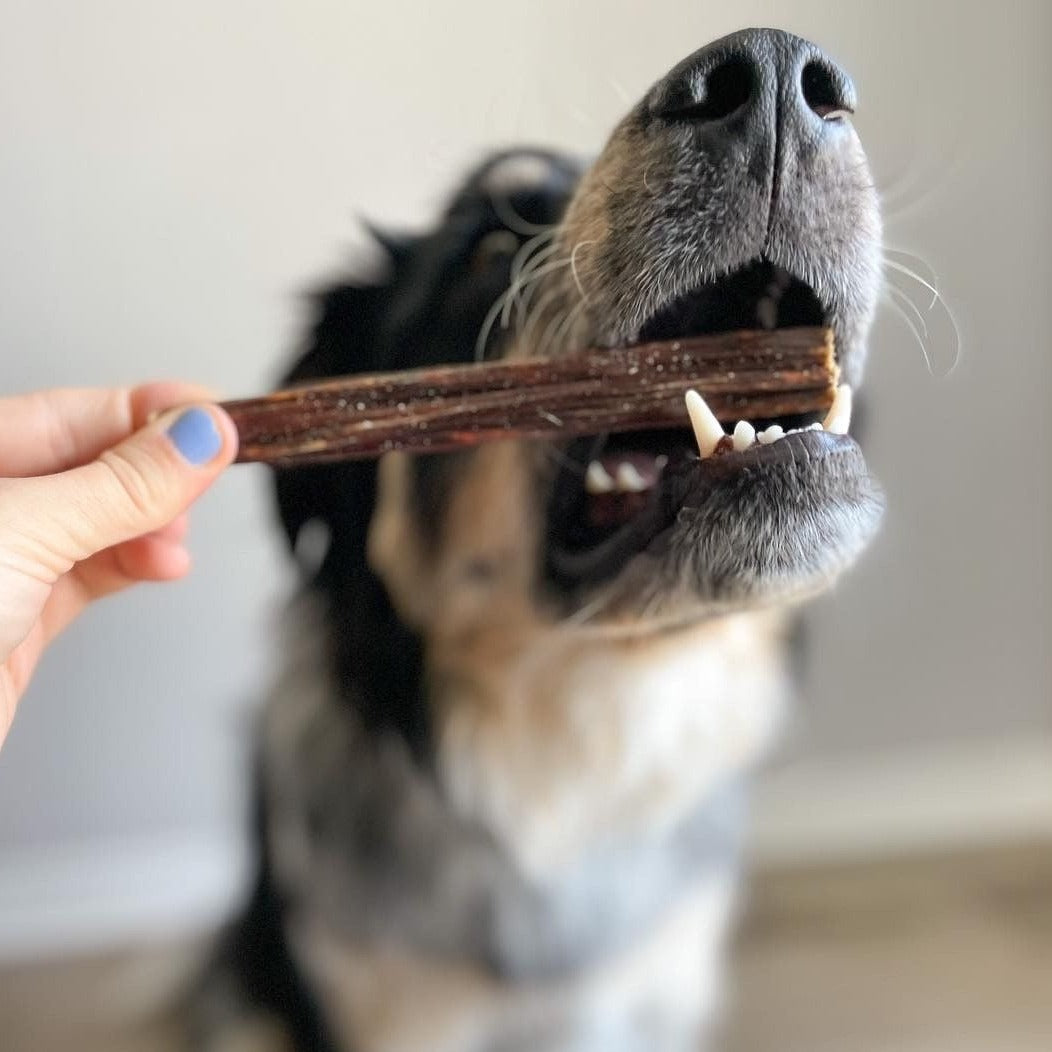 6 Inch Beef Jerky Sticks for Dogs – Soft, Single-Ingredient Chews with Joint Support