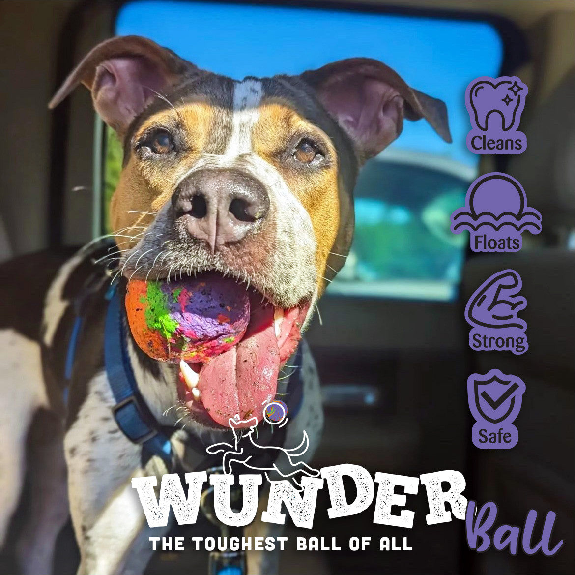 WUNDERball Natural Rubber Dog Ball – Durable Fetch Toy for Aggressive Chewers & Water Play