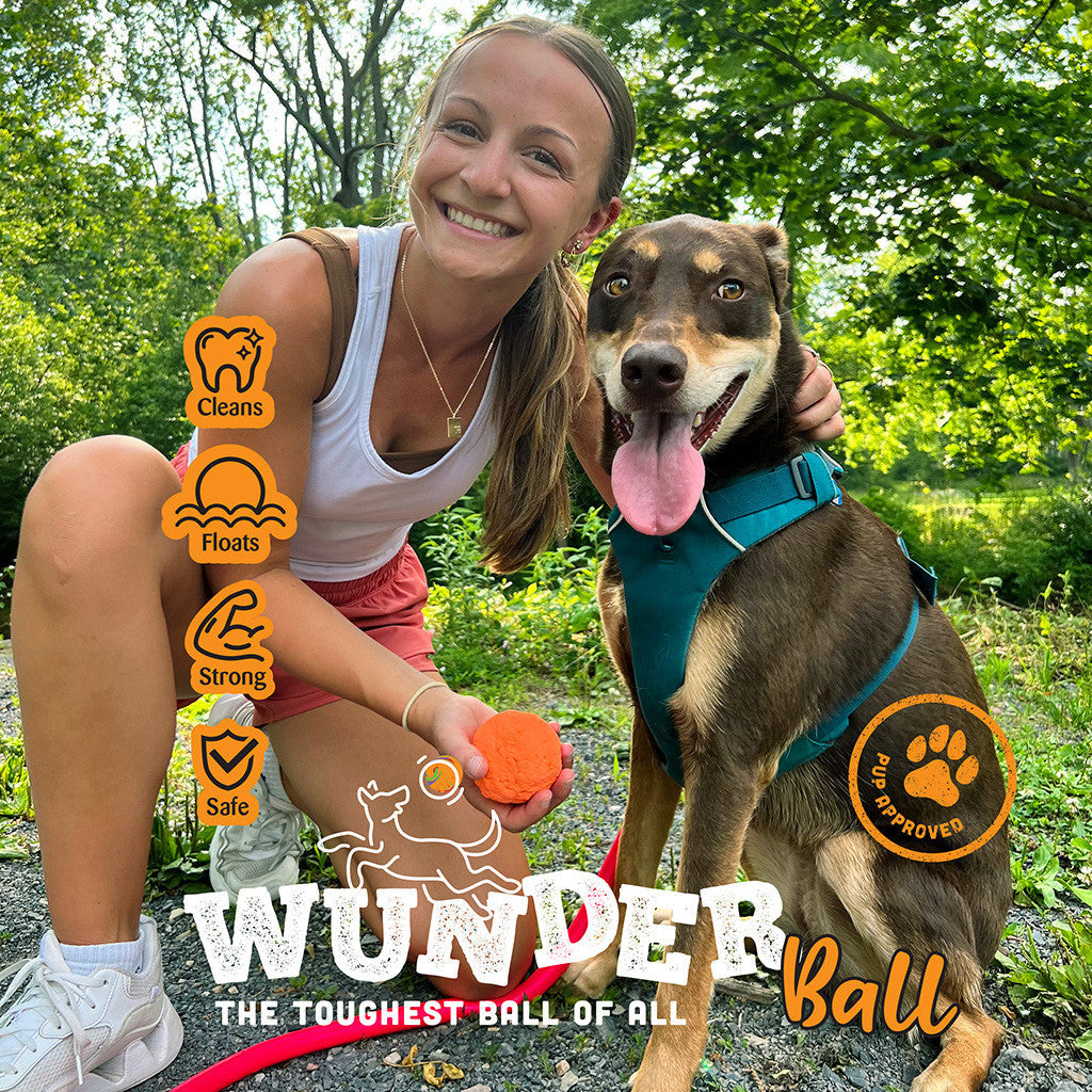 WUNDERball Natural Rubber Dog Ball – Durable Fetch Toy for Aggressive Chewers & Water Play