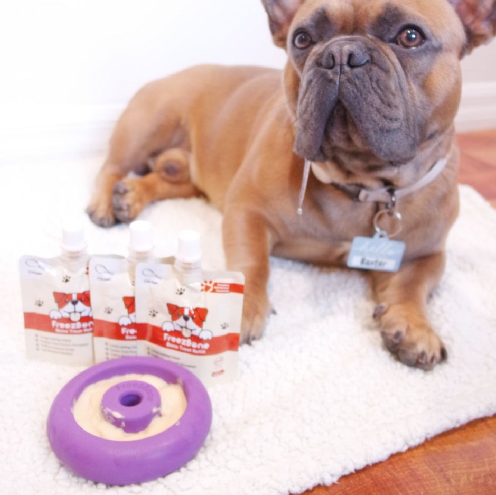 Freez Doughnut – Durable Freezable Fillable Dog Chew for Strong Chewers