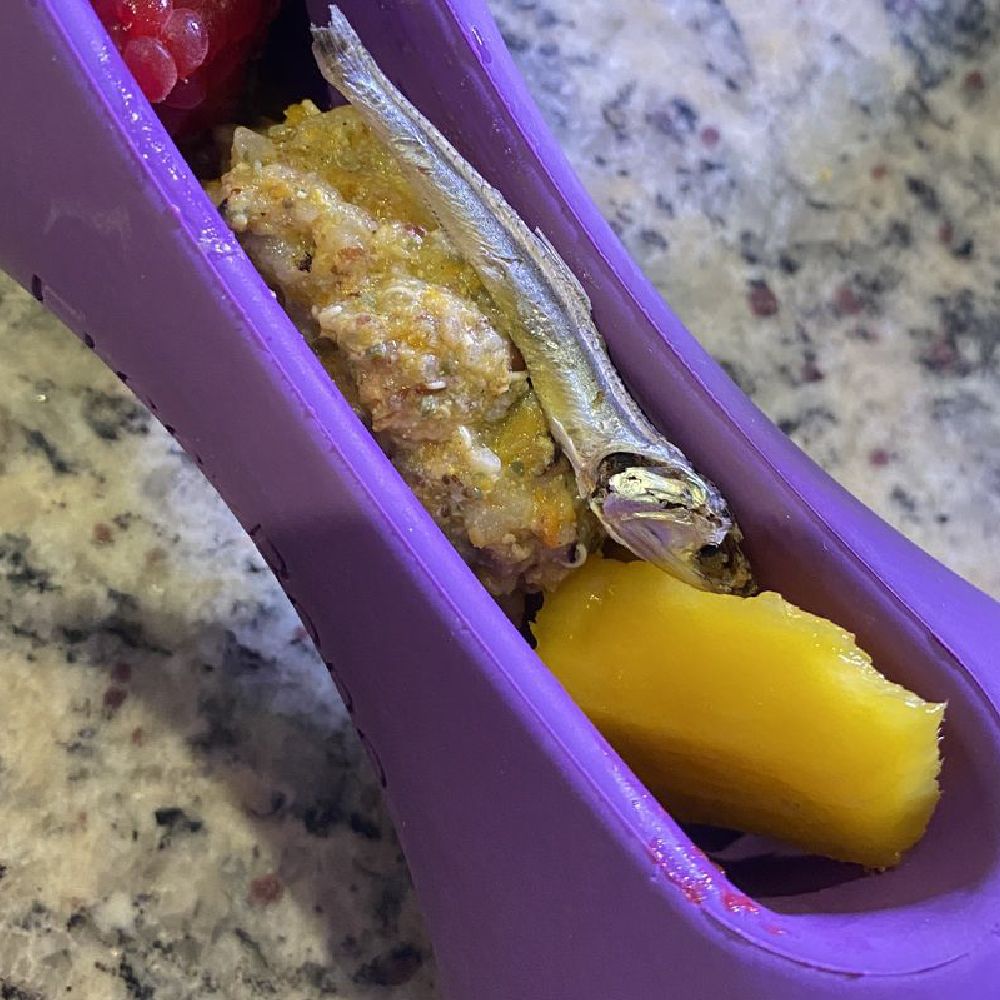 Freezstick – Durable Freezable Enrichment Chew for Strong Chewers