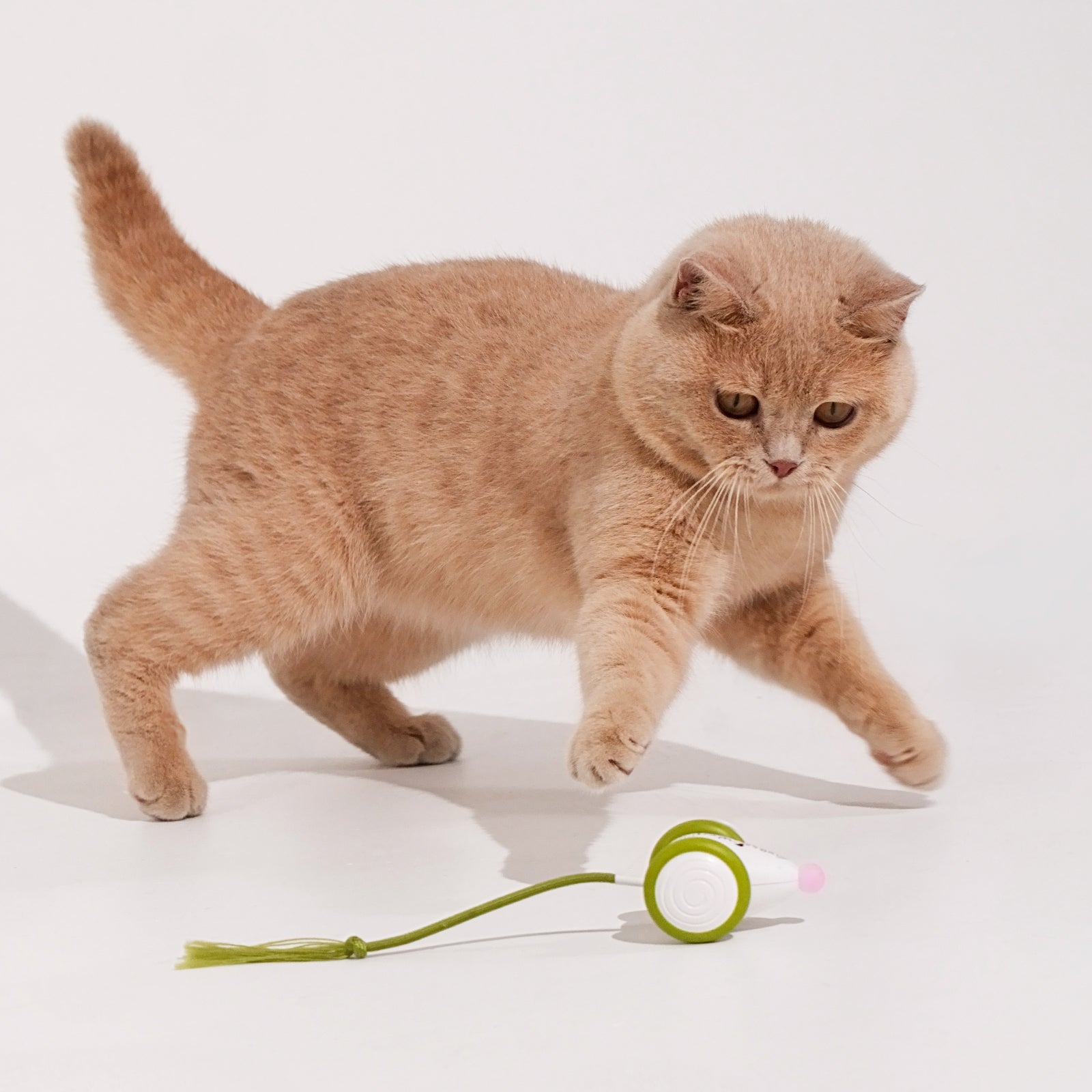 Creeble® Wicked Mouse Neo – Smart Interactive Cat Toy for Active Play