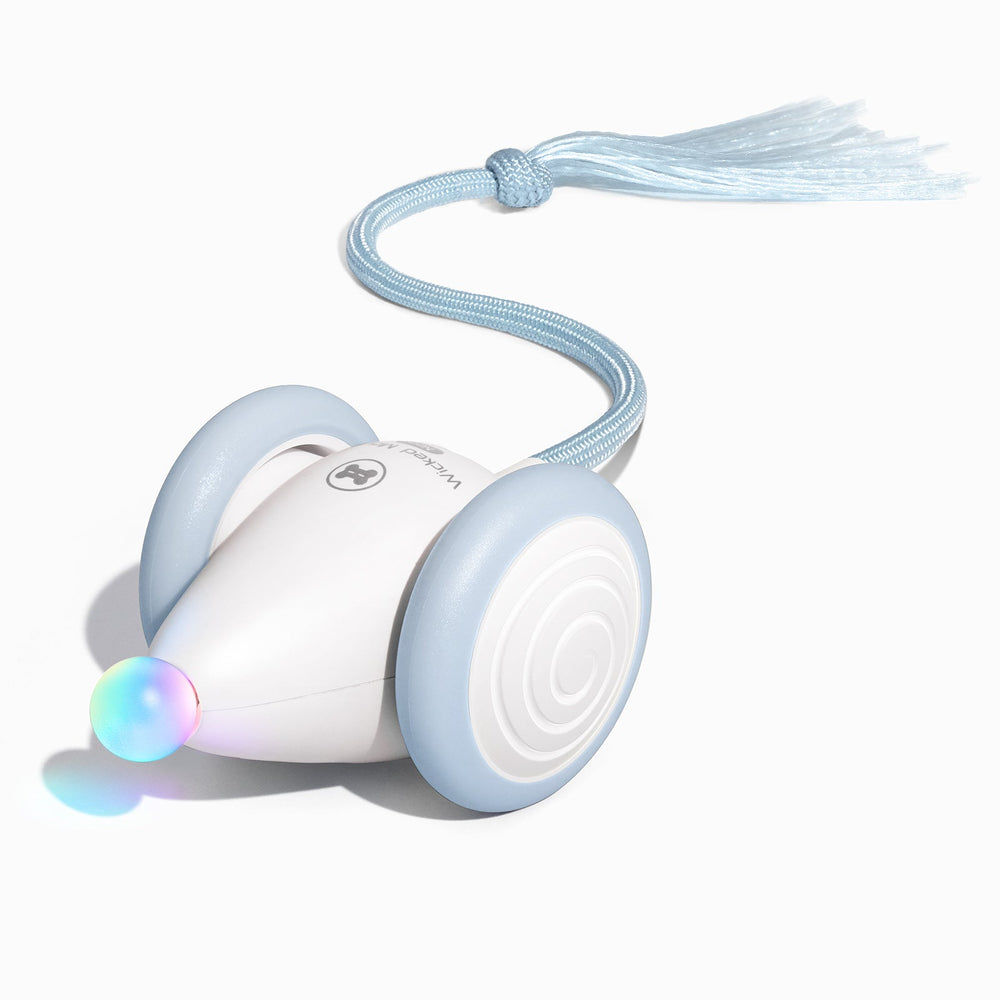 Creeble® Wicked Mouse Neo – Smart Interactive Cat Toy for Active Play