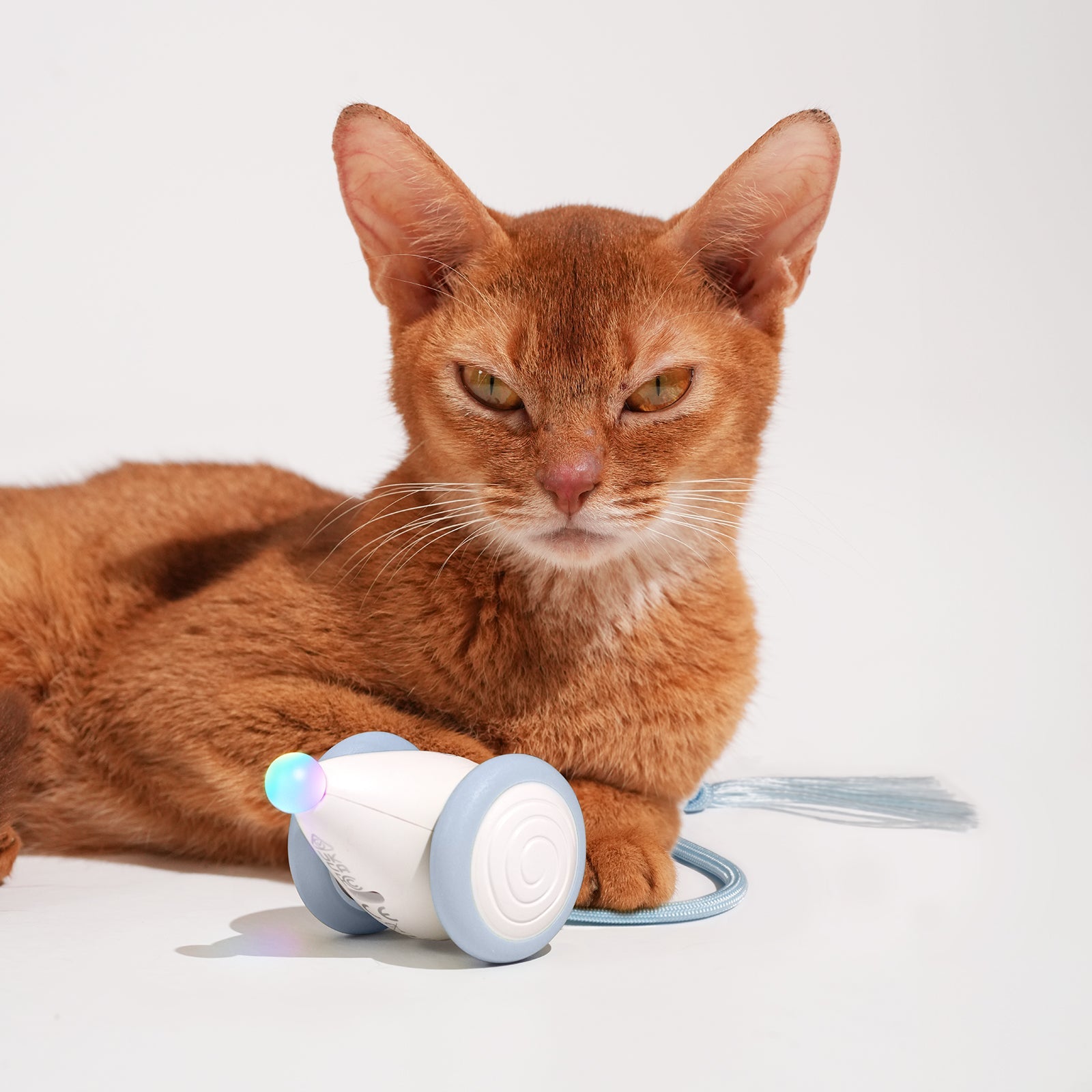 Creeble® Wicked Mouse Neo – Smart Interactive Cat Toy for Active Play