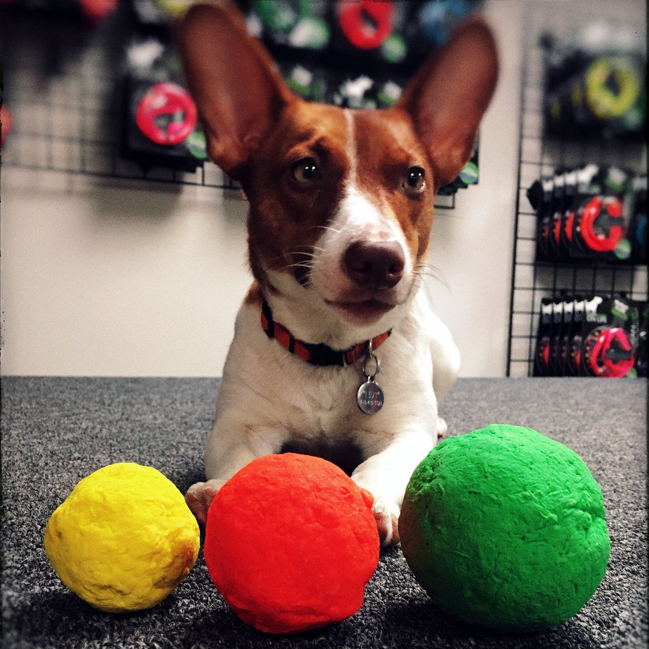 WUNDERball Natural Rubber Dog Ball – Durable Fetch Toy for Aggressive Chewers & Water Play