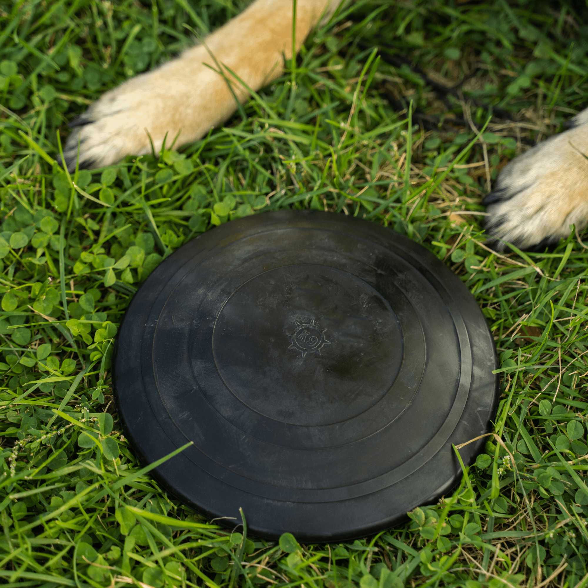 Monster K9 Aero Disc – Ultra-Durable Natural Rubber Flying Disc for Medium & Large Dogs