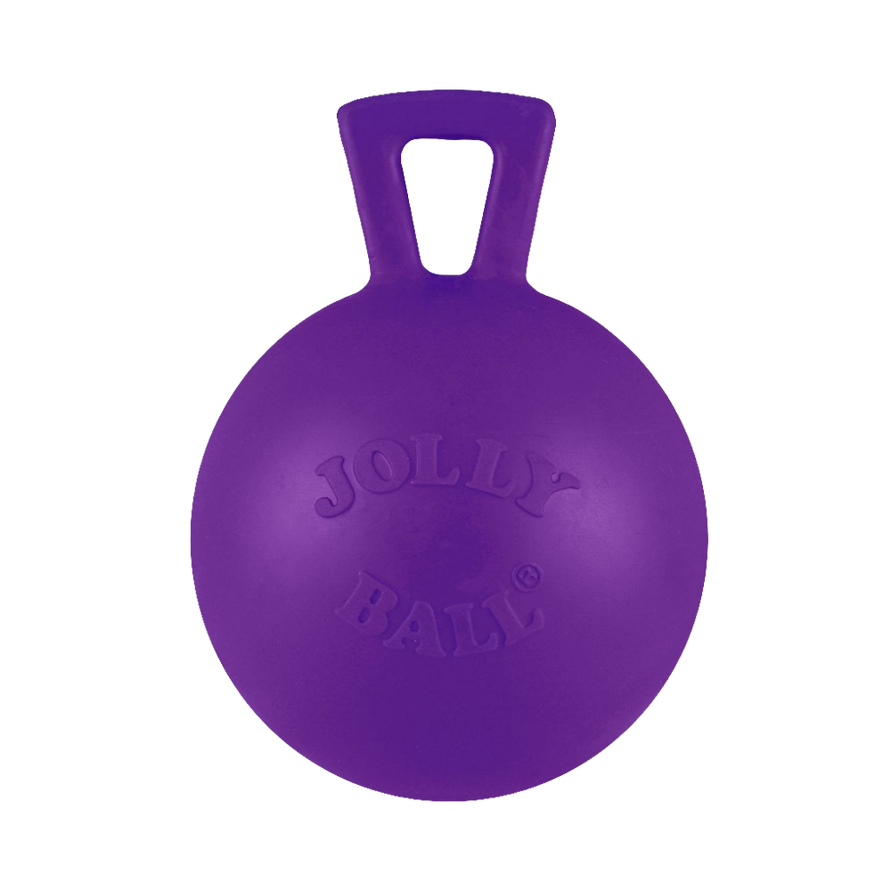 Jolly Pets Tug-n-Toss Mini – Small Bouncy Dog Ball with Handle | Lightweight & Floatable Toy for Small Breeds