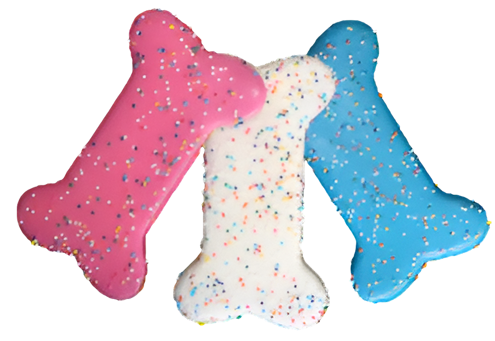 Homemade 5.5" Iced Bone Dog Treat – Gourmet Molasses-Based Biscuit