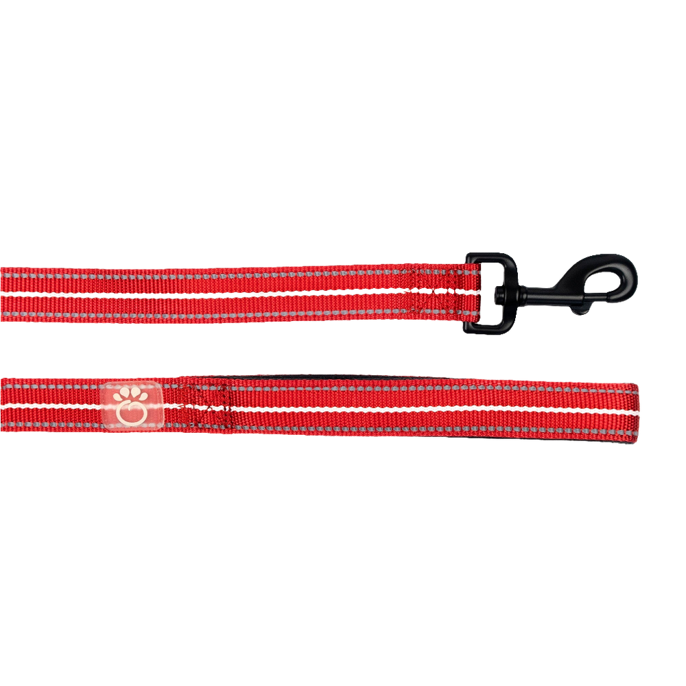 Reflective Dog Leash for Night Walks – Red High Visibility & Durable Nylon (6ft) by GF PET