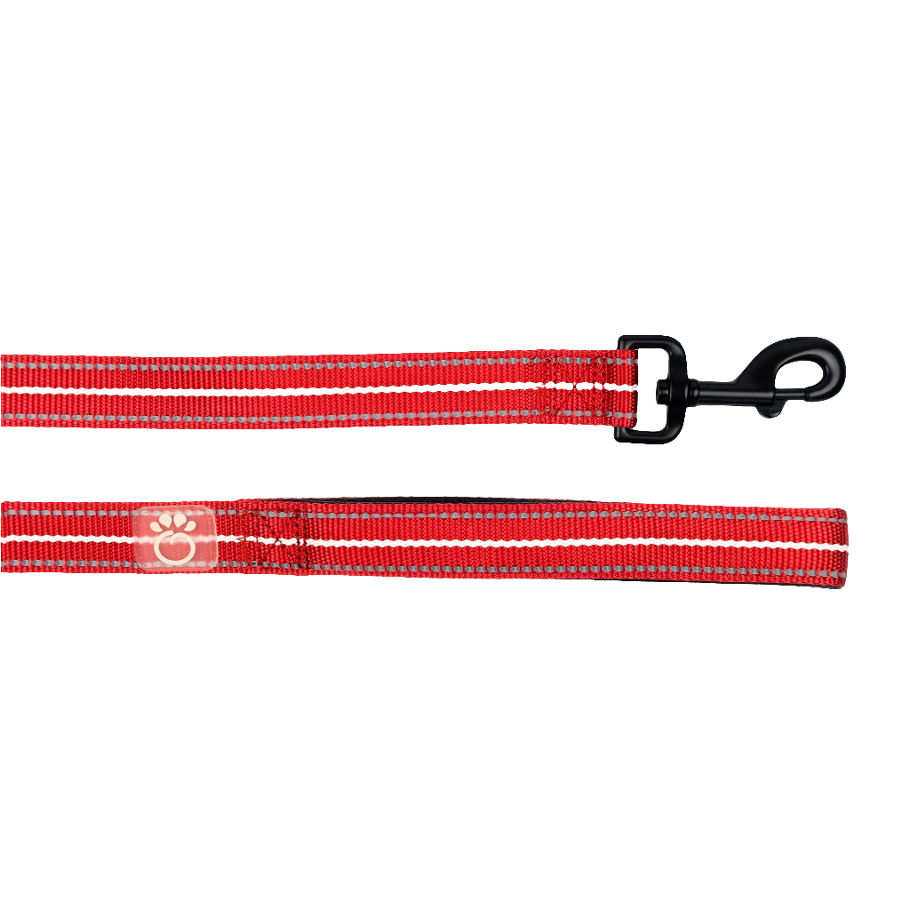 Reflective Dog Leash for Night Walks – Red High Visibility & Durable Nylon (6ft) by GF PET