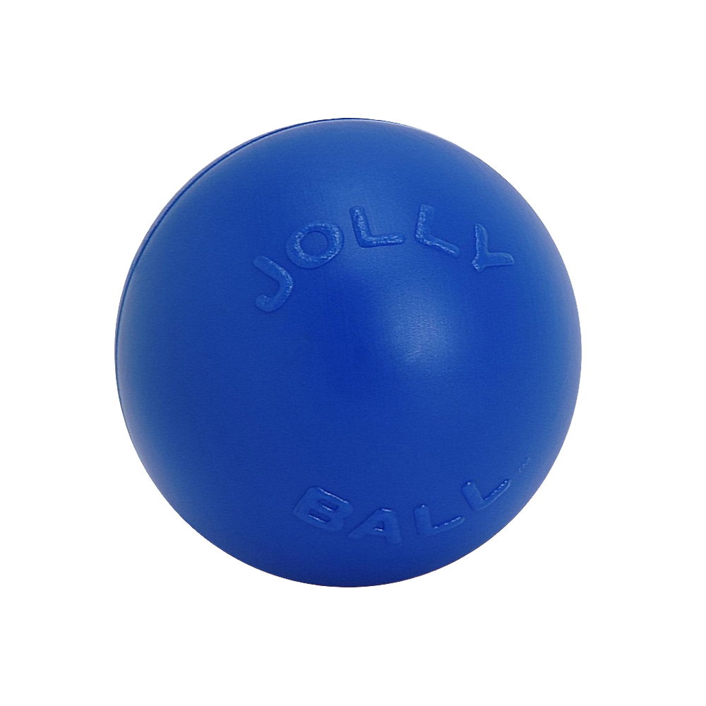Jolly Pets Push-n-Play Durable Dog Ball – Tough Rolling & Floating Toy for Active Dogs