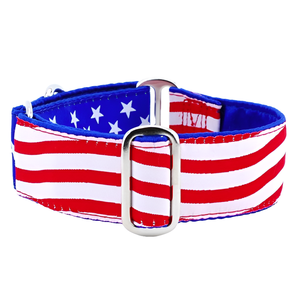 2 Hounds Design Stars & Stripes Buckle Martingale Dog Collar – USA-Inspired Comfort & Control