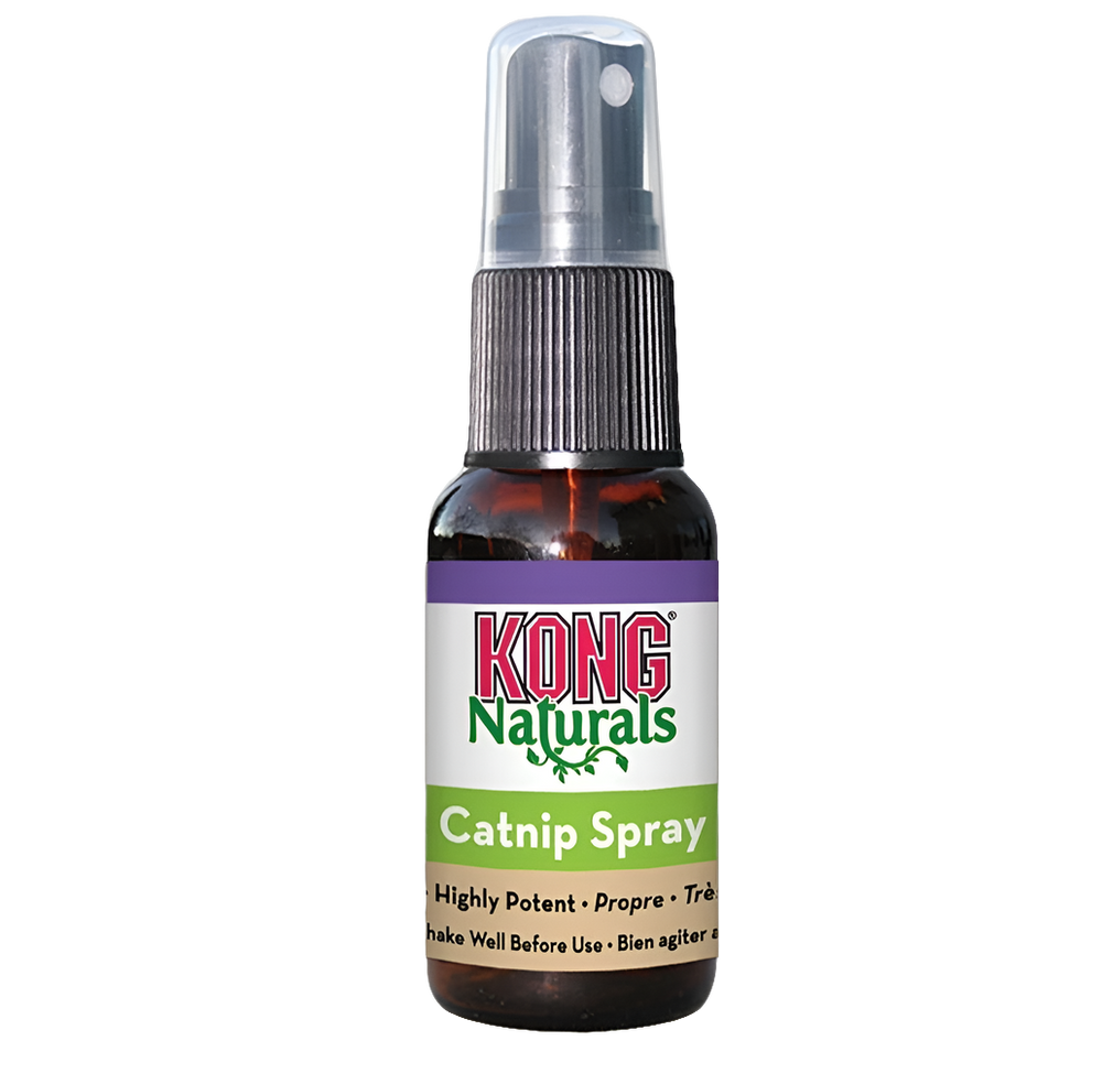 KONG Natural Catnip Spray: Irresistible Fun for Your Cat!