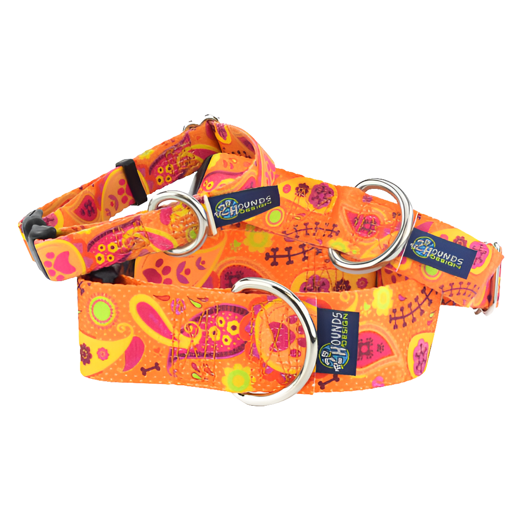 Orange Paisley Martingale Dog Collar with Buckle – Eco-Friendly EarthStyle by 2 Hounds Design