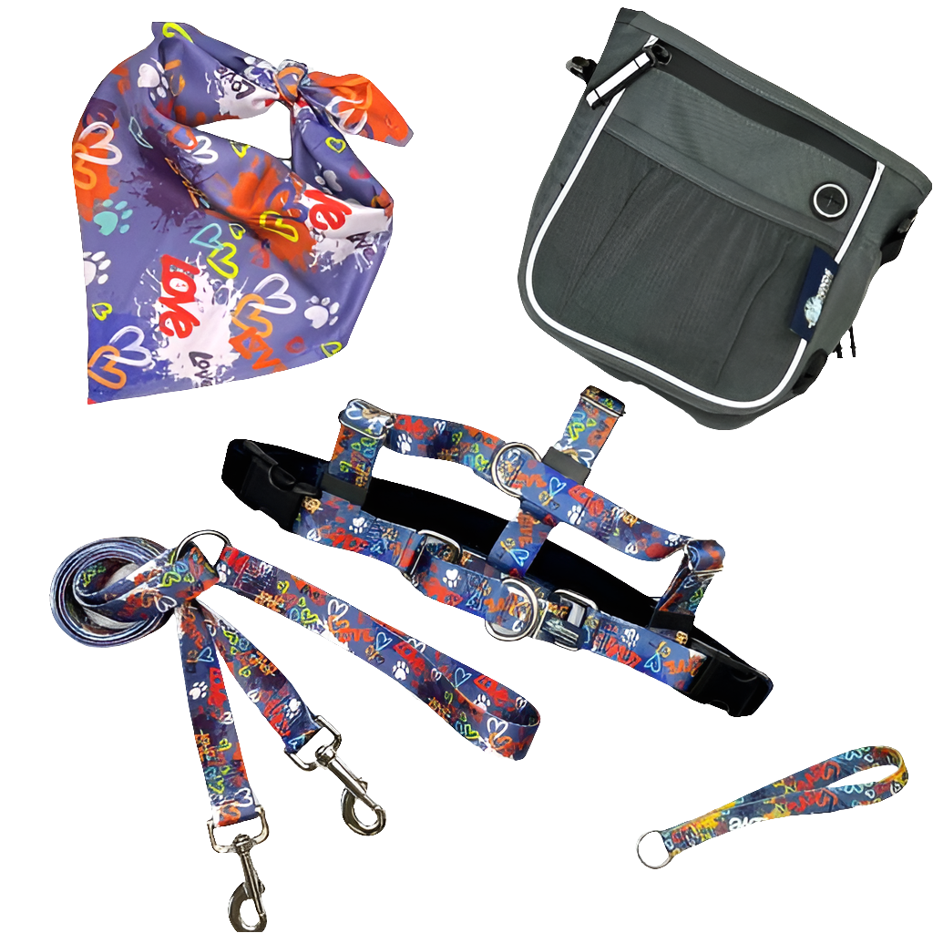 Freedom No-Pull Harness Bundle – Love Graffiti Blue with Matching Leash & Accessories
