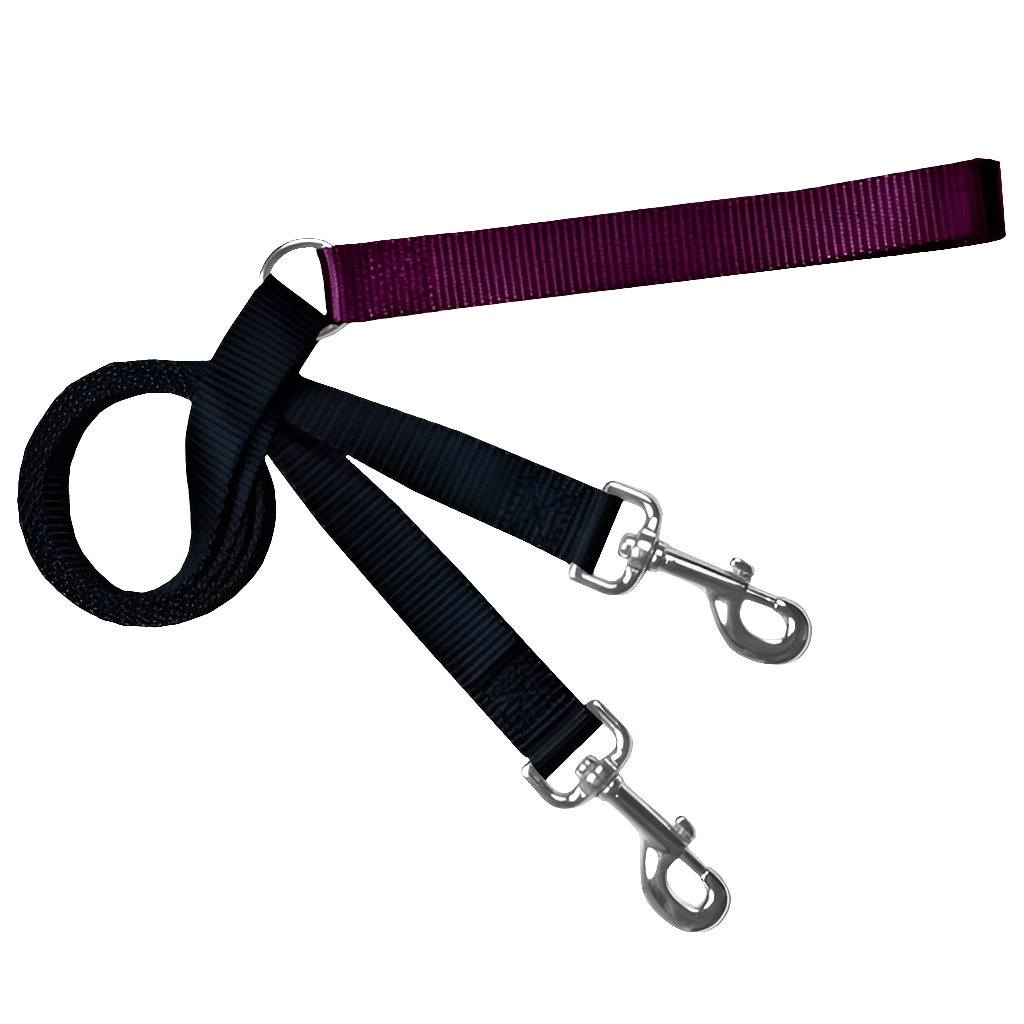 2 Hounds Design Freedom No-Pull Dog Harness with Training & Euro Leash Options – Gentle Control, Maximum Comfort 🐾